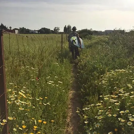 Dom wakacyjny Alai, Exotico En La Playa Kadyks