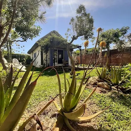 Alai, Exotico En La Playa Cádiz