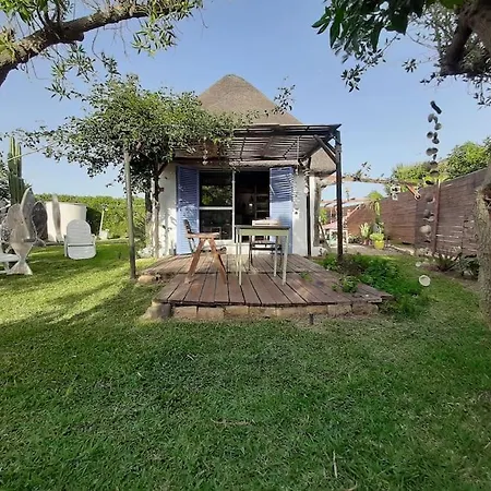 Alai, Exotico En La Playa * Kadyks