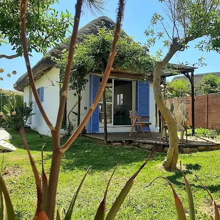 Alai, Exotico En La Playa Kadyks