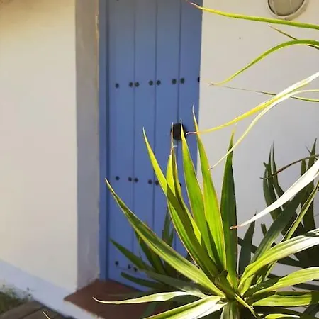 Alai, Exotico En La Playa Cádiz
