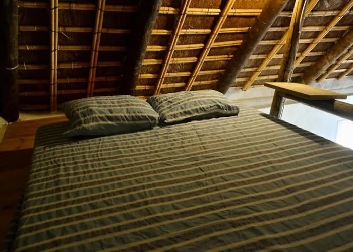 Alai, Exotico En La Playa *