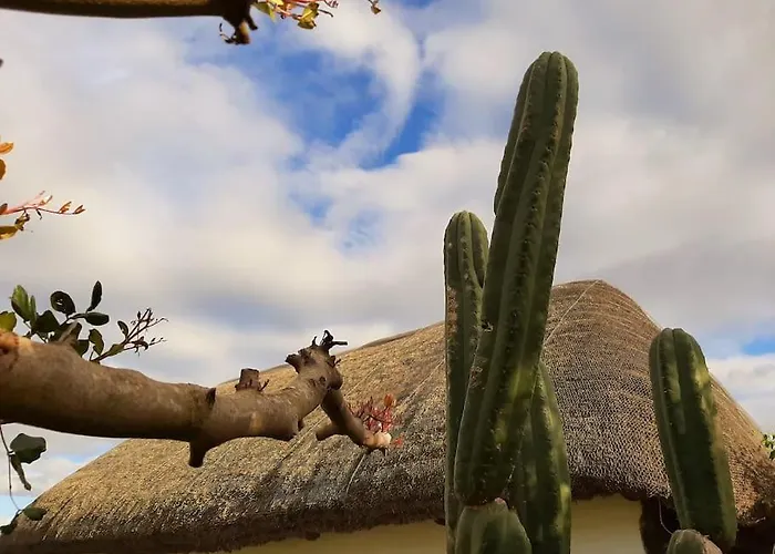 Alai, Exotico En La Playa Cadiz