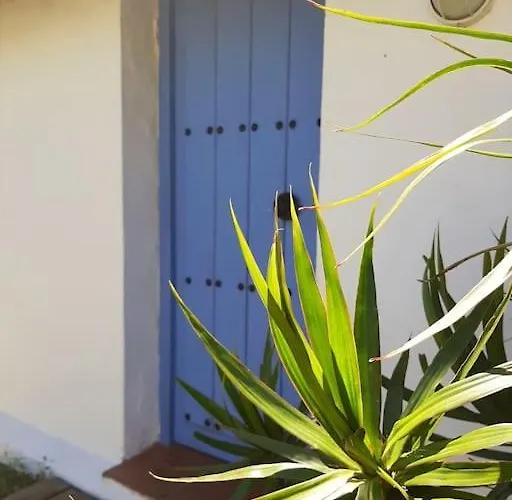 Alai, Exotico En La Playa Cádiz