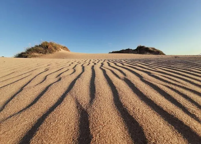 Alai, Exotico En La Playa