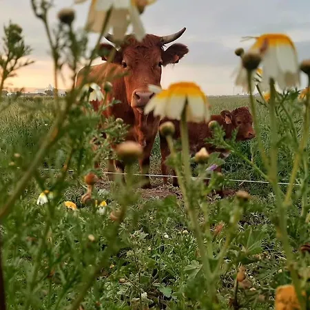 Casa vacanze Alai, Exotico En La Playa