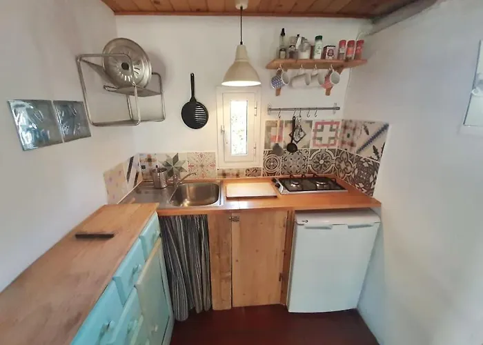 Alai, Exotico En La Playa *