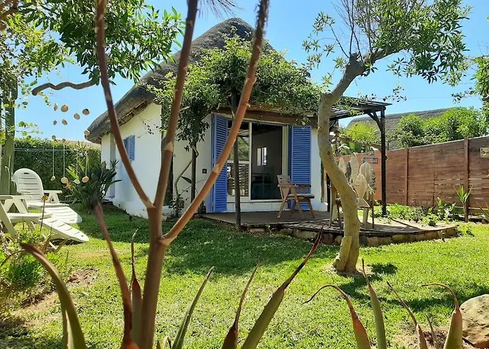 Alai, Exotico En La Playa Cadiz