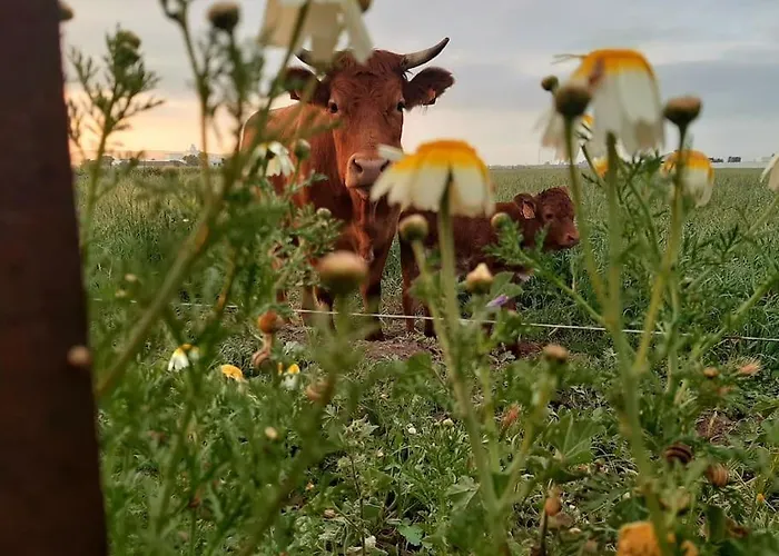 Holiday home Alai, Exotico En La Playa
