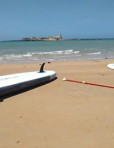 Alai, Exotico En La Playa Cadiz
