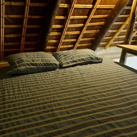 Alai, Exotico En La Playa *