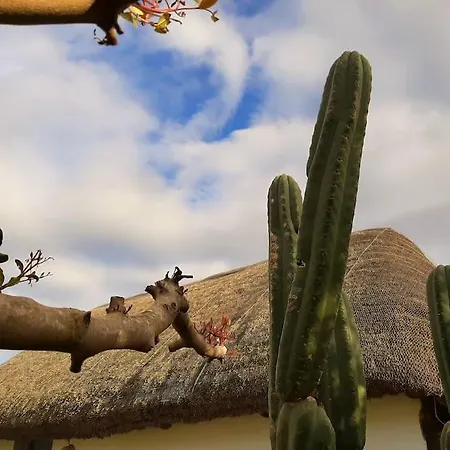 Alai, Exotico En La Playa كاديز