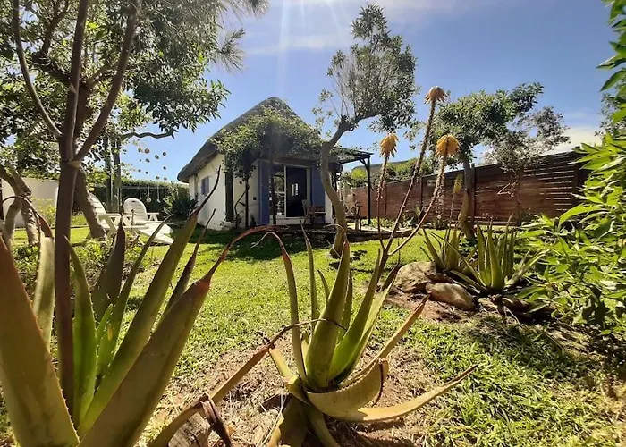 Alai, Exotico En La Playa Cádiz