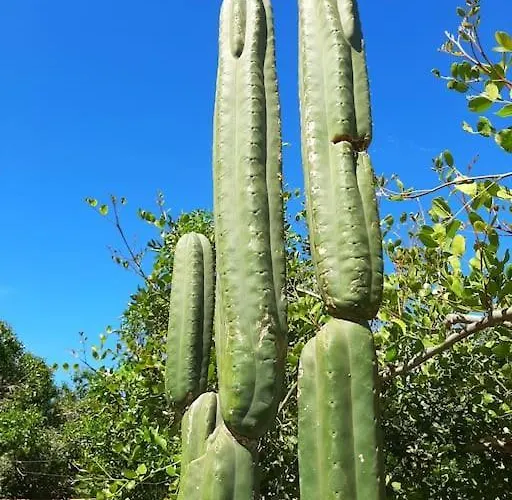 Alai, Exotico En La Playa Feriehus *