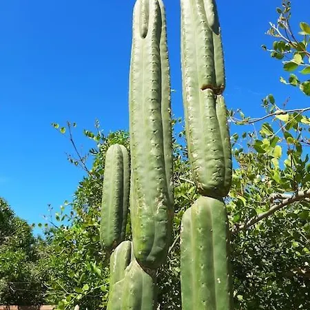 Alai, Exotico En La Playa Vakantiehuis *