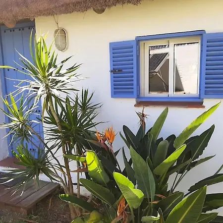 Vakantiehuis Alai, Exotico En La Playa *